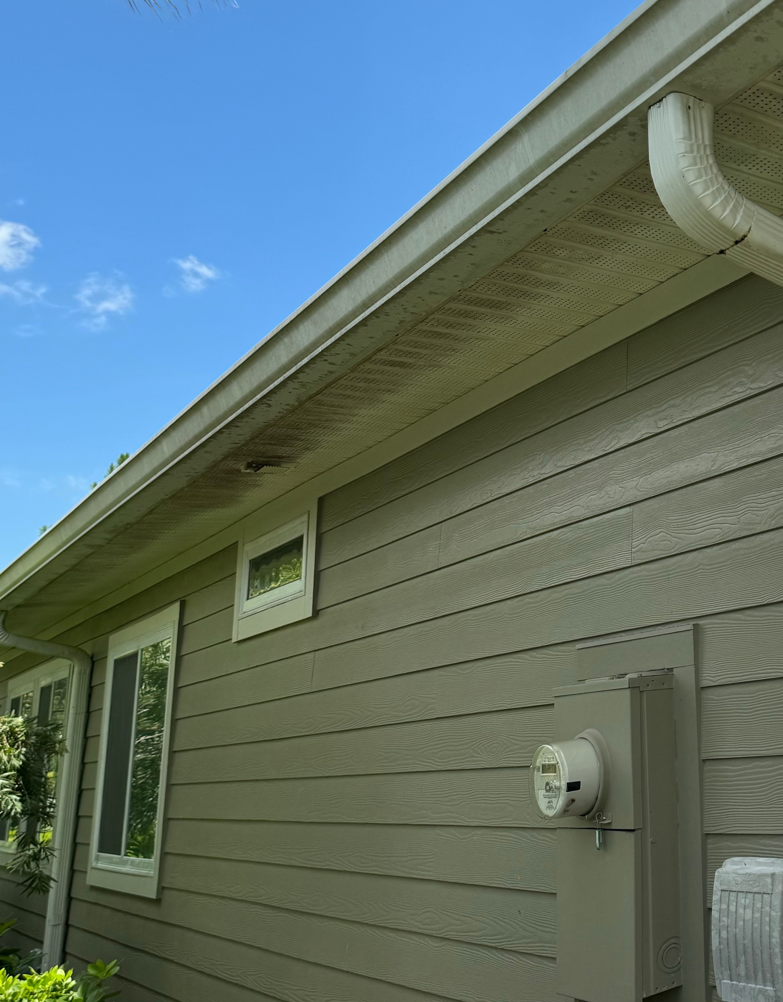 Residential house siding before soft wash — black mold and algae staining on soffits and gutters, Jacksonville, FL