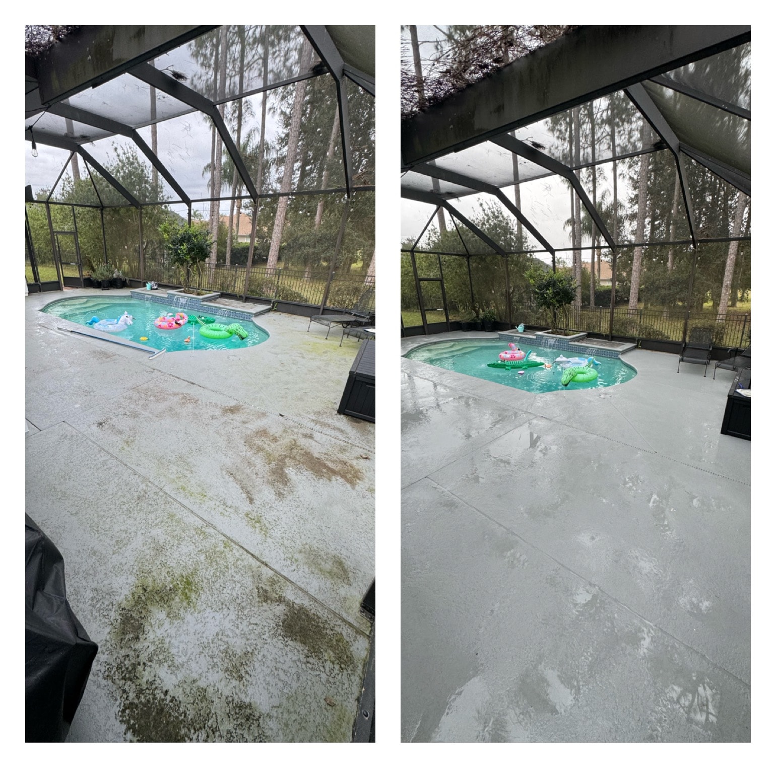 Pool deck before and after pressure washing — green algae and staining removed from concrete pool surround, Jacksonville, FL