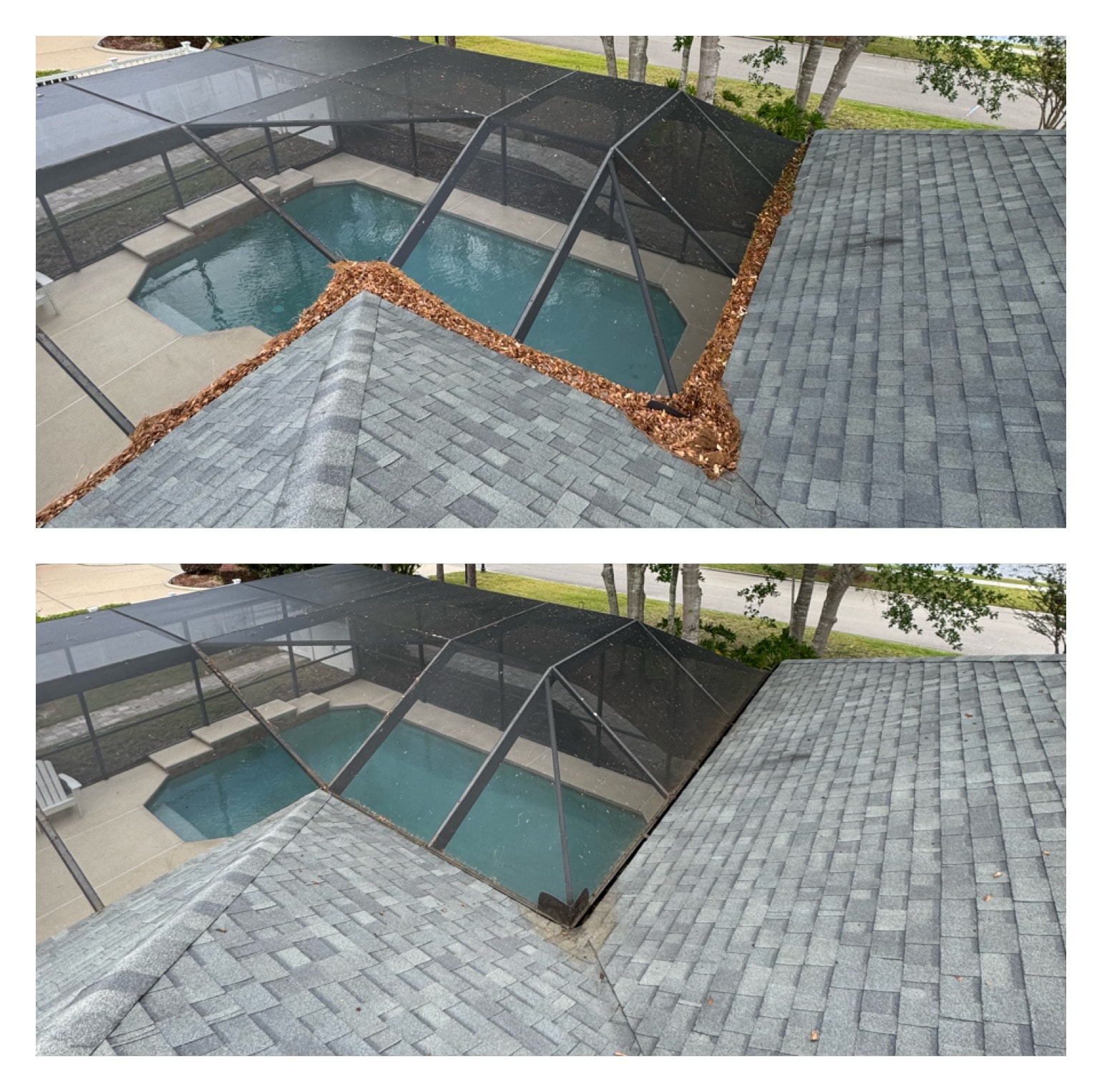Residential pool patio with sealed pavers and landscaping, Jacksonville, FL