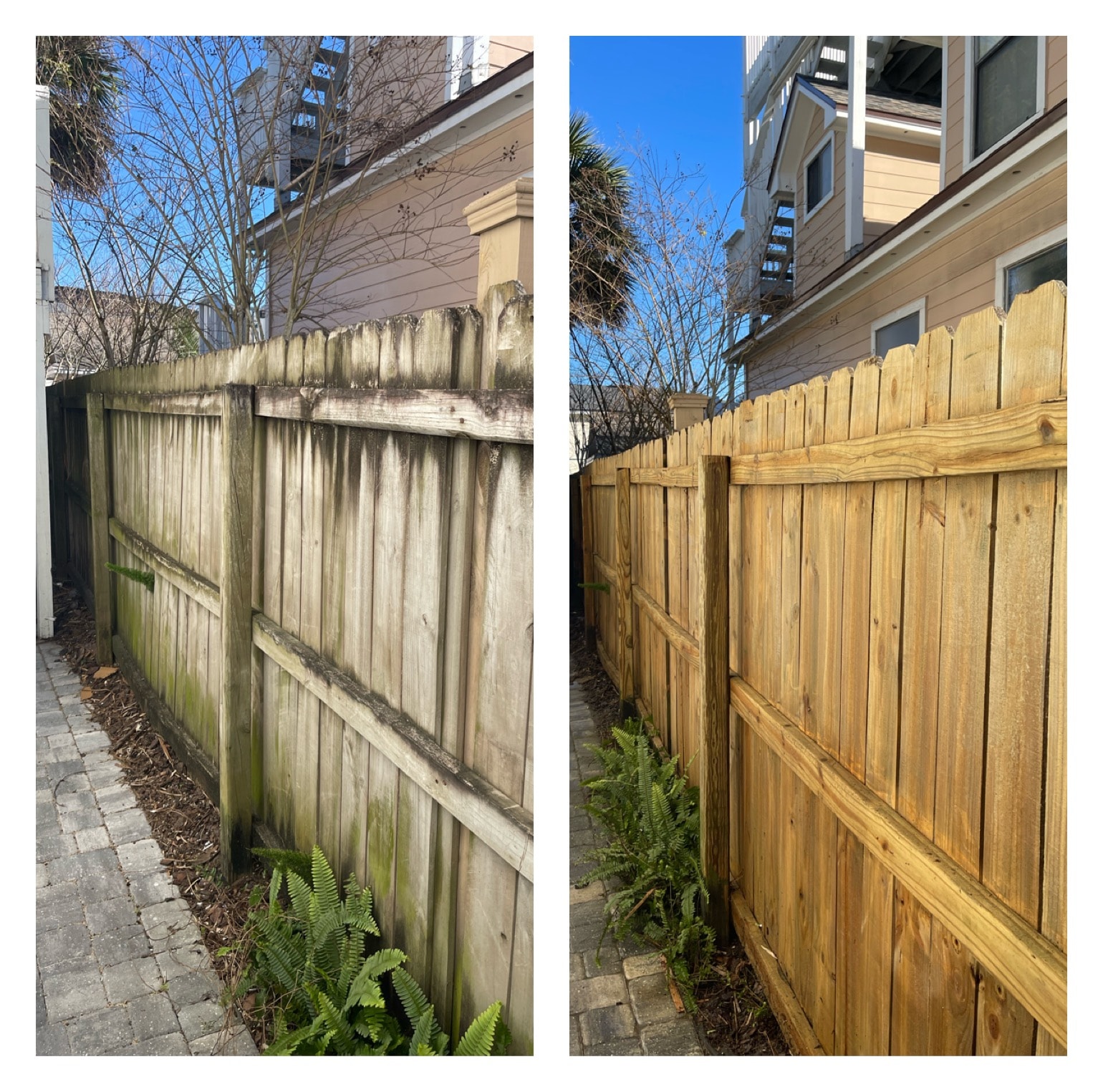 Wood privacy fence before and after pressure washing — grey weathered boards restored to natural warm wood tone, Jacksonville, FL