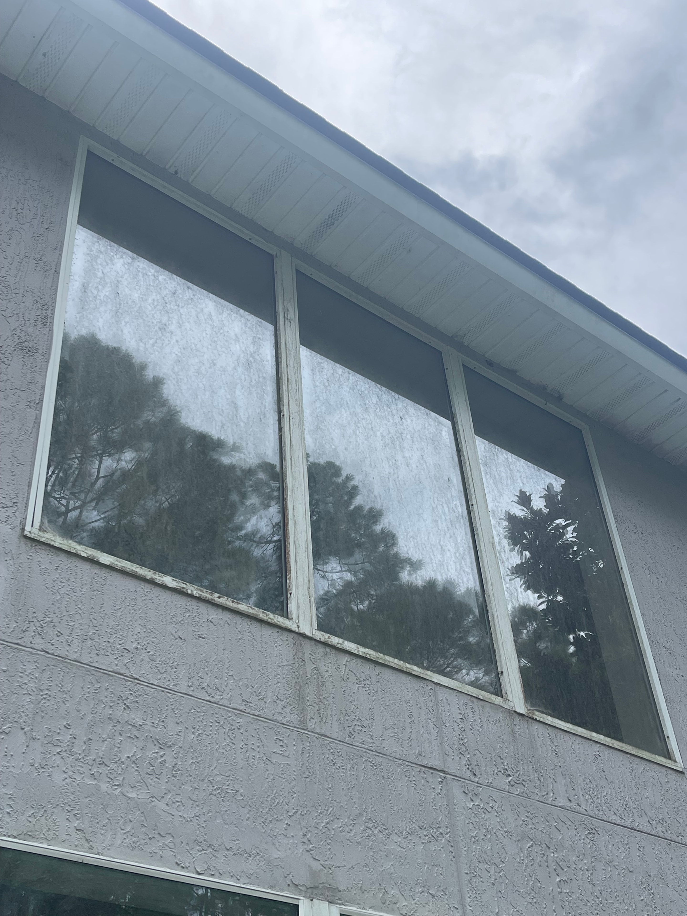 Commercial building windows before cleaning — hazy mineral deposits and dirty frames on large exterior windows, Jacksonville, FL
